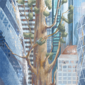 久久一级黄色片
