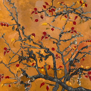 久久一级黄色片
